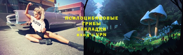 гидропоника Белоозёрский