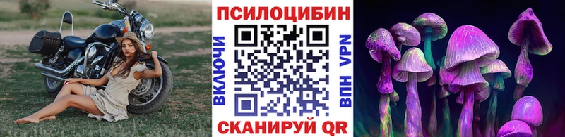 Галлюциногенные грибы прущие грибы  Гусев 