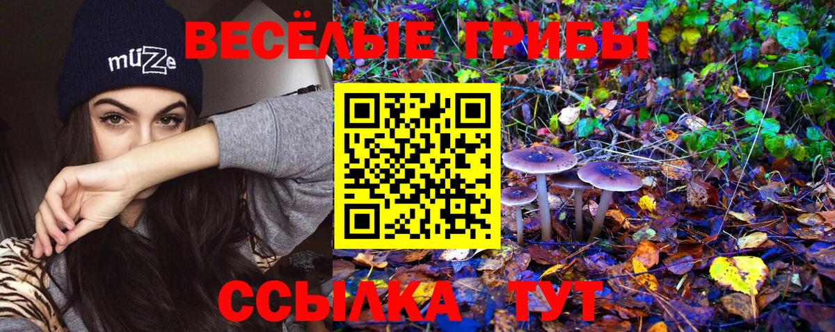 Гусев  Галлюциногенные грибы мицелий  Галлюциногенные грибы мицелий  Вход с VPN 