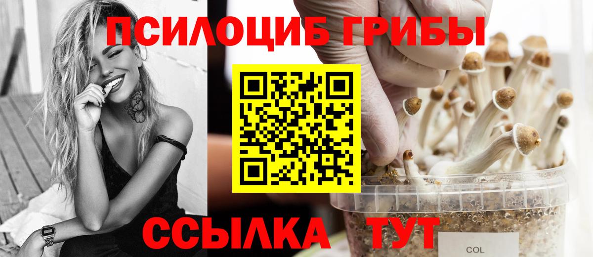 ТГК  Гашиш  ЭКСТАЗИ  Кокаин  Вход с VPN  Гусев  Меф   Каннабис 