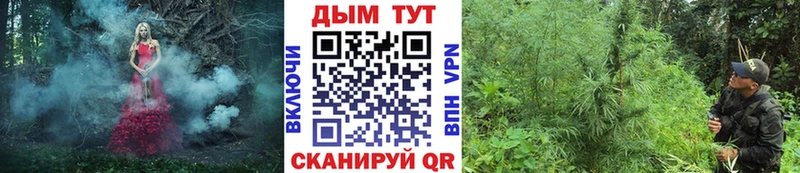 закладки  Гусев  Конопля MAZAR 